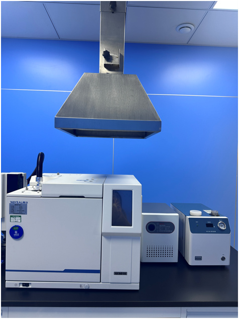 泓远公卫I气相色谱仪